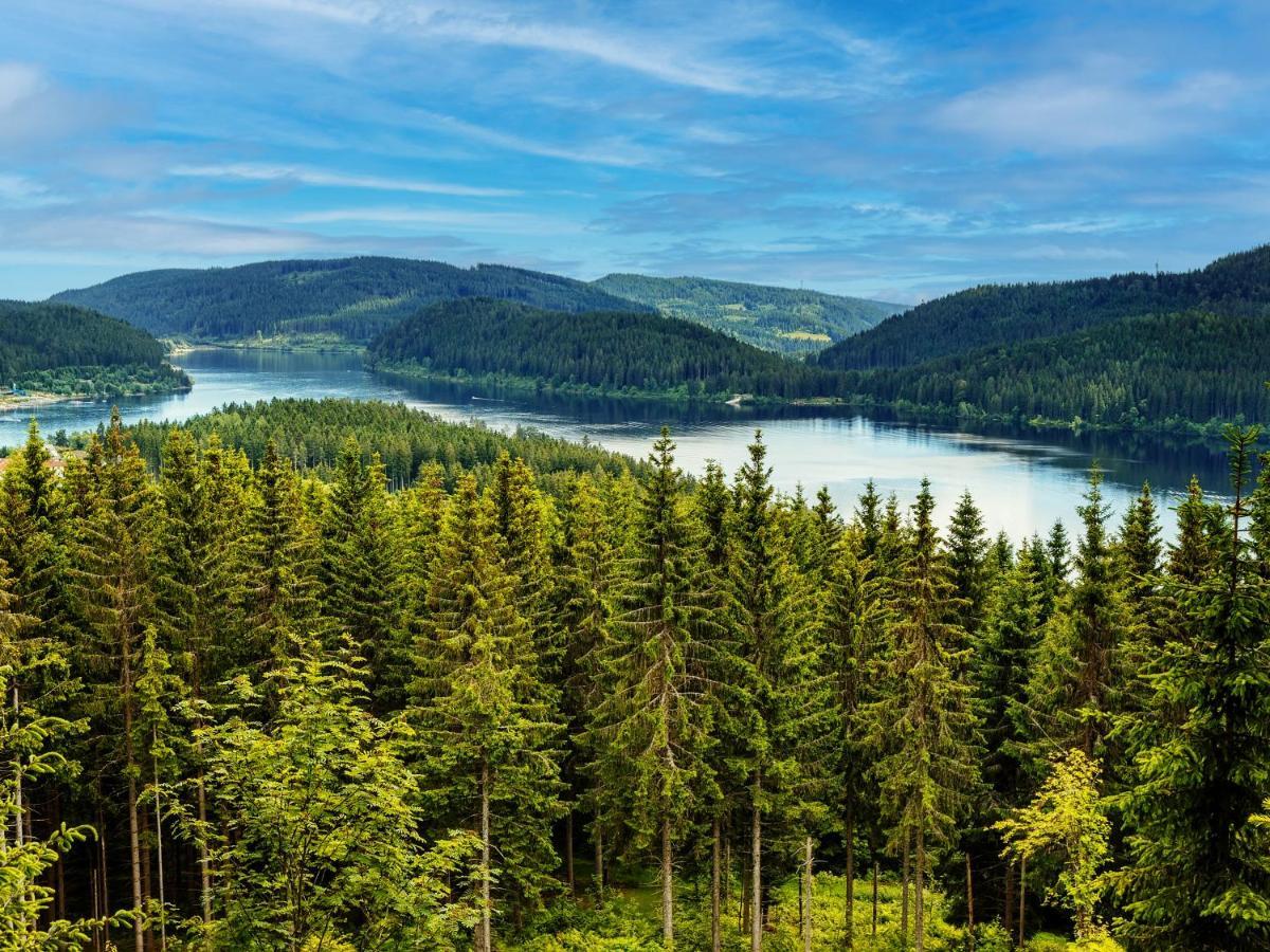 Black Forest Luxury Apartment Waldglueck Mit Sauna Königsfeld im Schwarzwald Kültér fotó