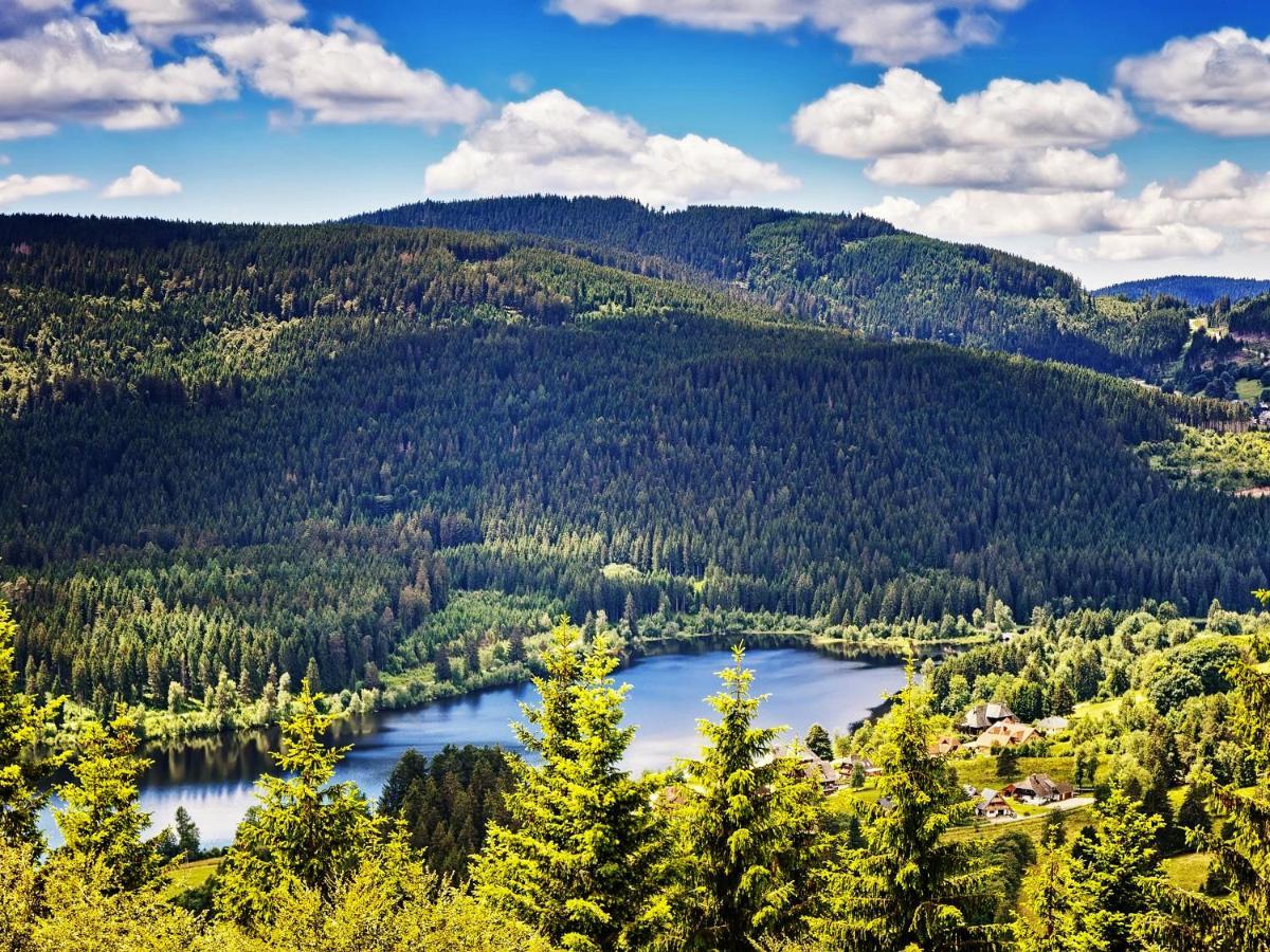 Black Forest Luxury Apartment Waldglueck Mit Sauna Königsfeld im Schwarzwald Kültér fotó