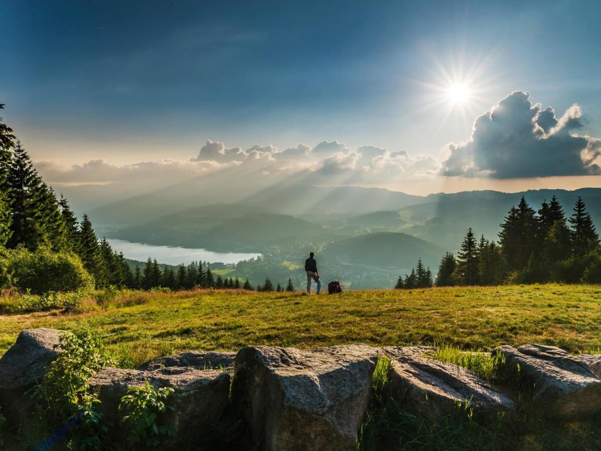 Black Forest Luxury Apartment Waldglueck Mit Sauna Königsfeld im Schwarzwald Kültér fotó
